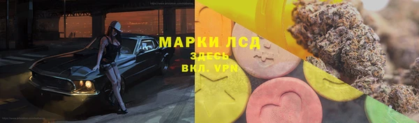 мяу мяу мука Осинники