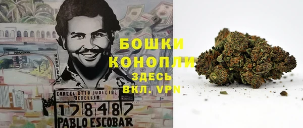 трава Нягань
