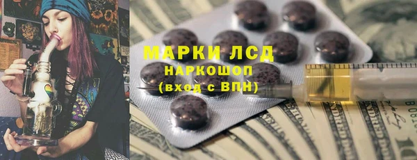 дурь Няндома
