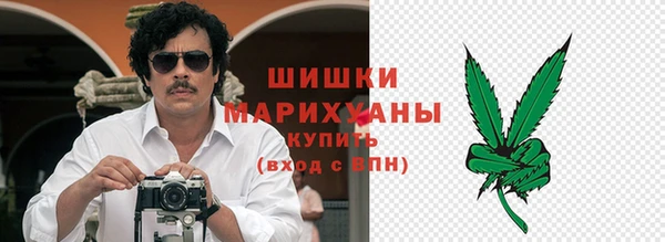 дурь Няндома